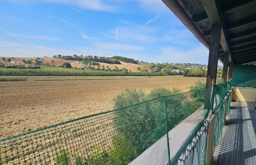Vista dalla terrazza sulla campagna e sul verde